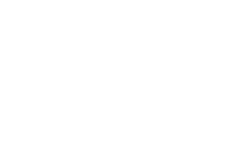 dot overlay.png